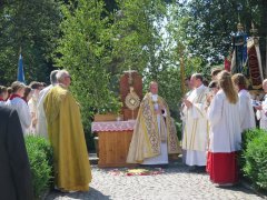Pfarrei Donaustauf Fronleichnam 2017  (26).JPG